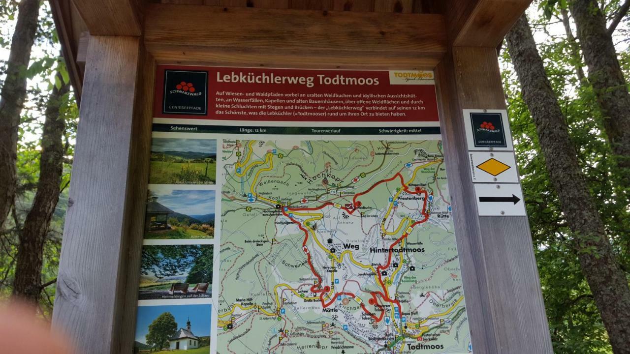 Ferienwohnung Im Schwarzwald Todtmoos Dış mekan fotoğraf