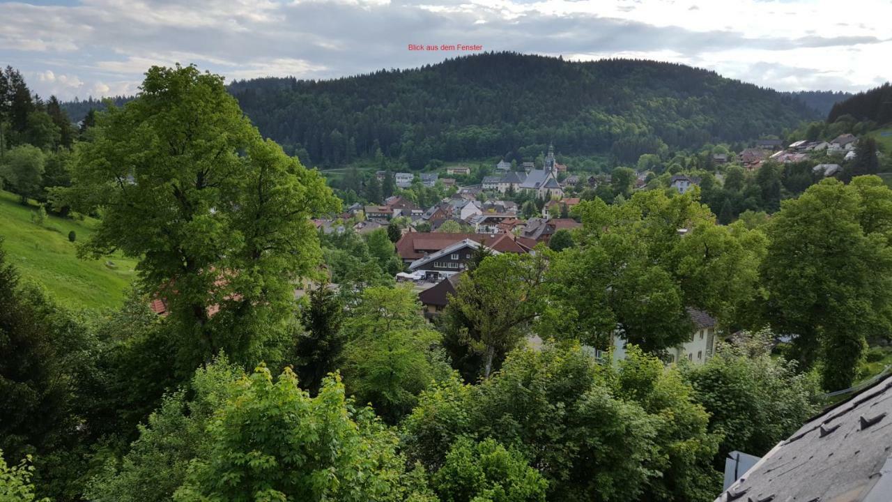 Ferienwohnung Im Schwarzwald Todtmoos Dış mekan fotoğraf