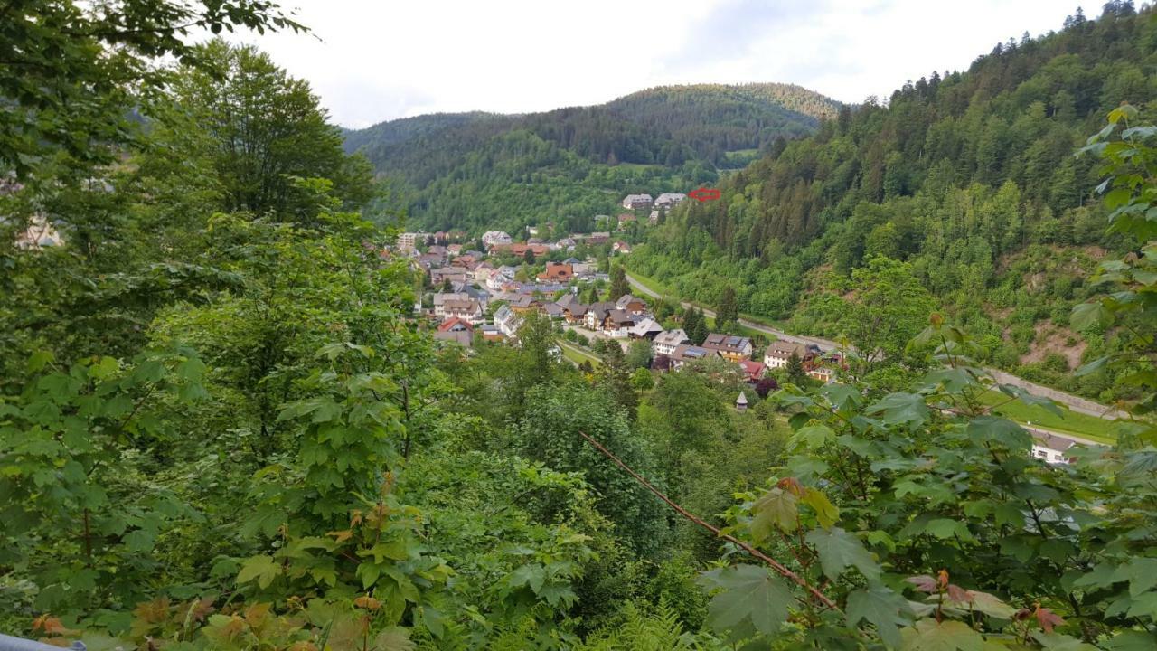 Ferienwohnung Im Schwarzwald Todtmoos Dış mekan fotoğraf
